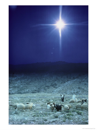star-near-bethlehem-israel2