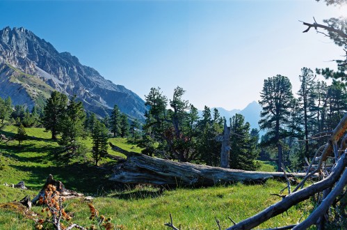 swiss-national-park-switzerland-1