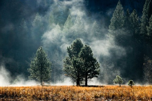 Yosemite_California_09-728x485