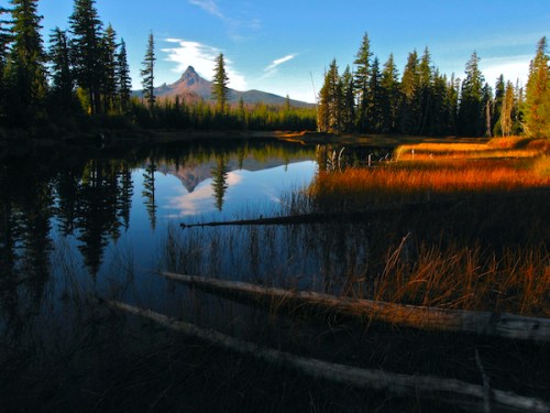 Washington wilderness