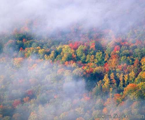 autumn_fog