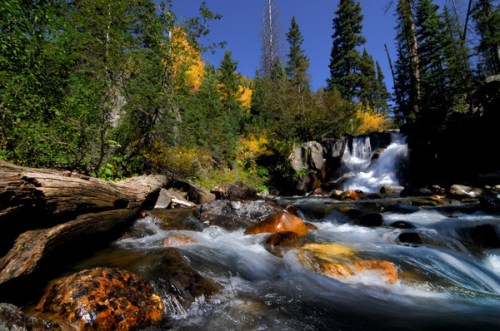 colorado-aspen-mountain-stream-M