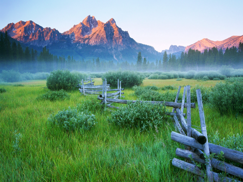 rail-fence-spring-mountain-meadow-tangledwing