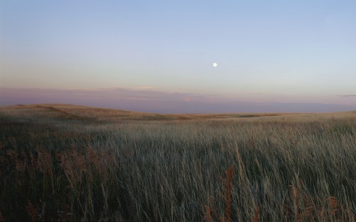 farm country and meadows - w023