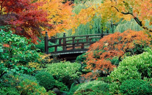 miscellaneous photos - w079