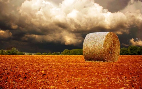 farm country and meadows - w068