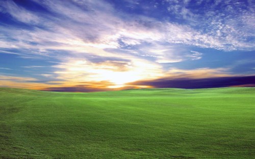 farm country and meadows - w141