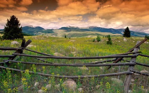 farm country and meadows - w143