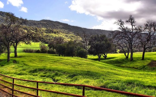 farm country and meadows - w144