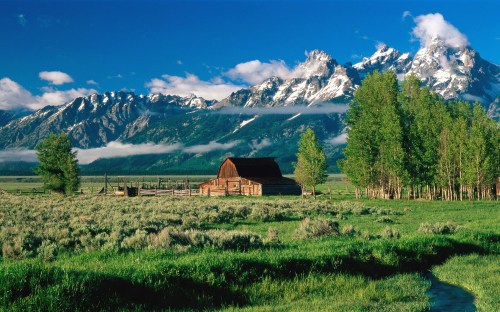 farm country and meadows - w153