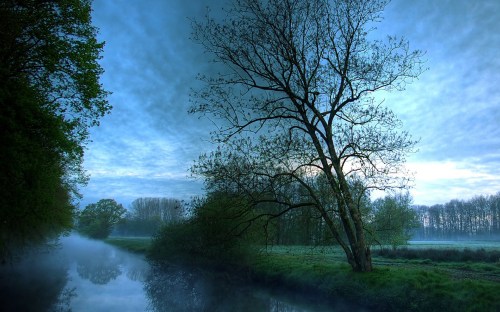 farm country and meadows - w166