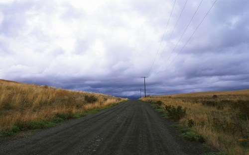 farm country and meadows - w019