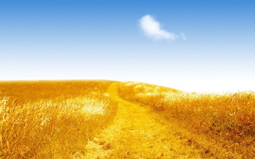 farm country and meadows - w145