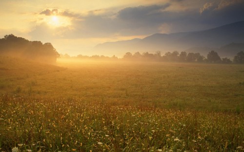 farm country and meadows - w200