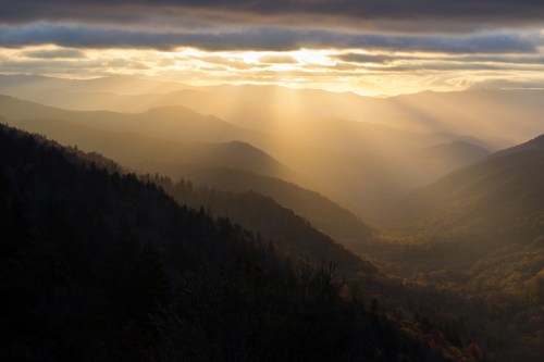 Fall in the Great Smokies