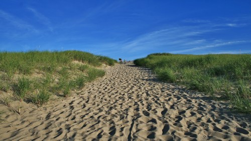 Cape Cod1
