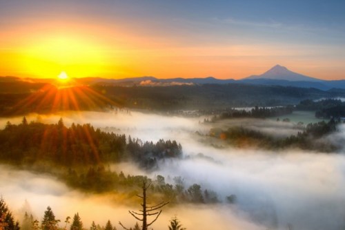 Landscape-Fog-Sunset-485x728