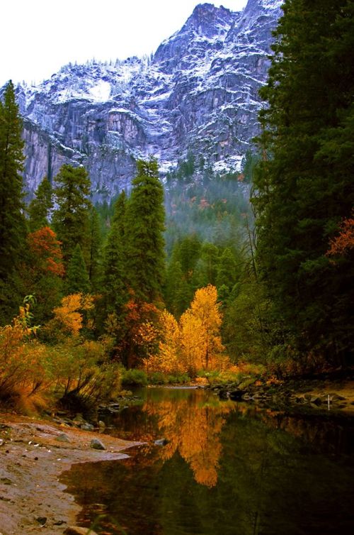 Yosemite1