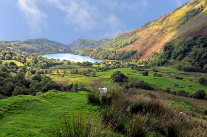 Llyn Gwynant