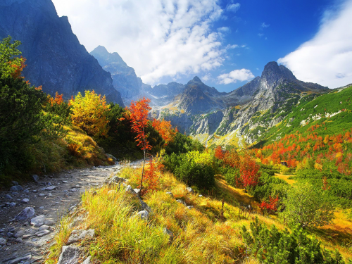 Autumn Mountain