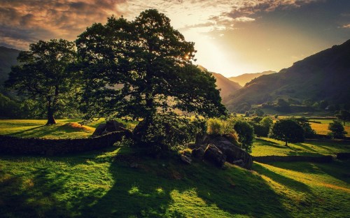 Great Langdale