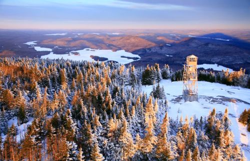 Blue Mountain Summit and Firetower